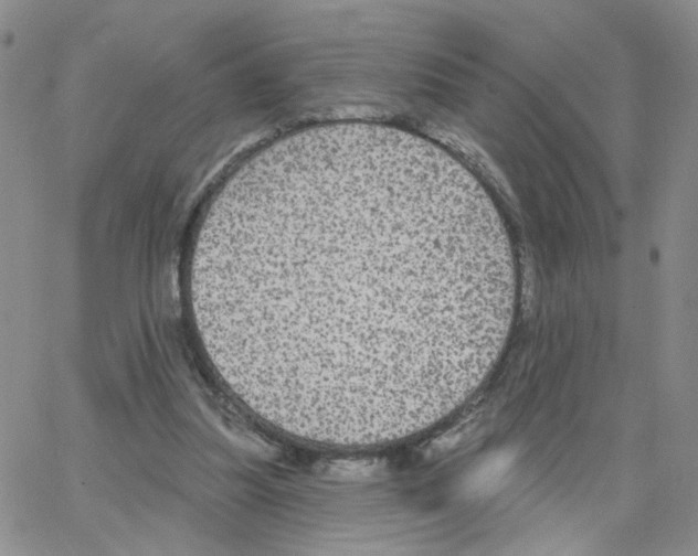 X0000064740251200603131325