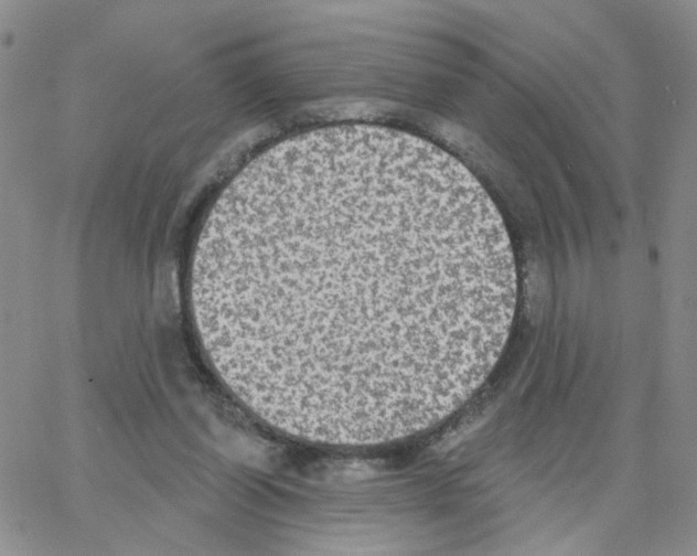 X0000064740254200603131325