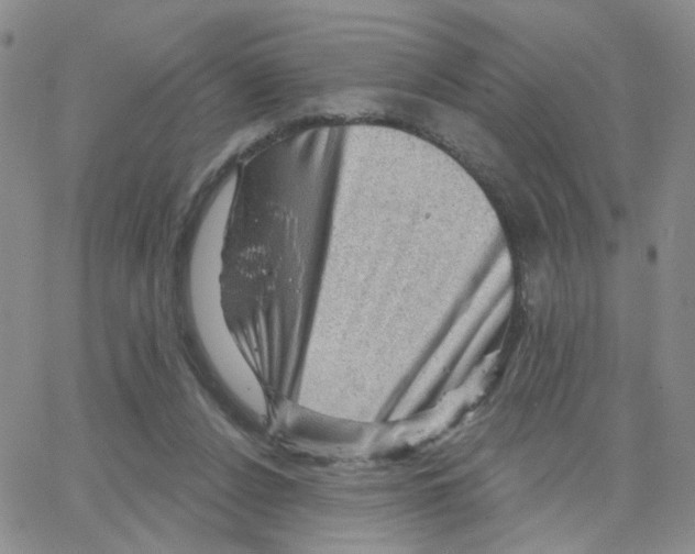 X0000064740256200603131326