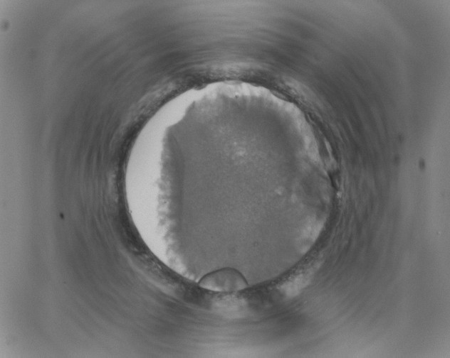 X0000064740258200603131326