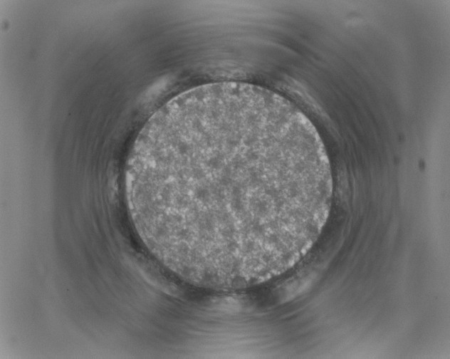 X0000064740259200603131326