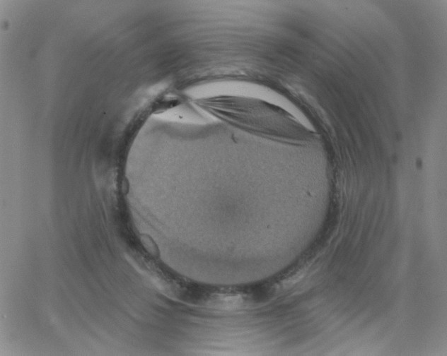 X0000064740260200603131326