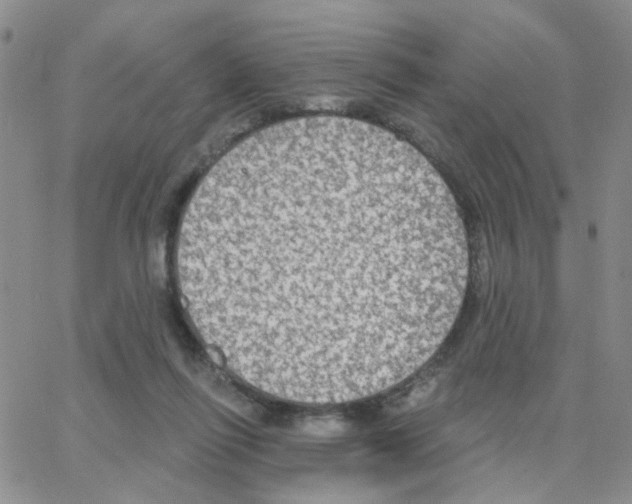 X0000064740262200603131326