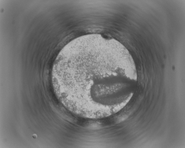 X0000064740263200603131326