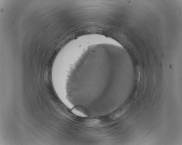 X0000064740266200603131326