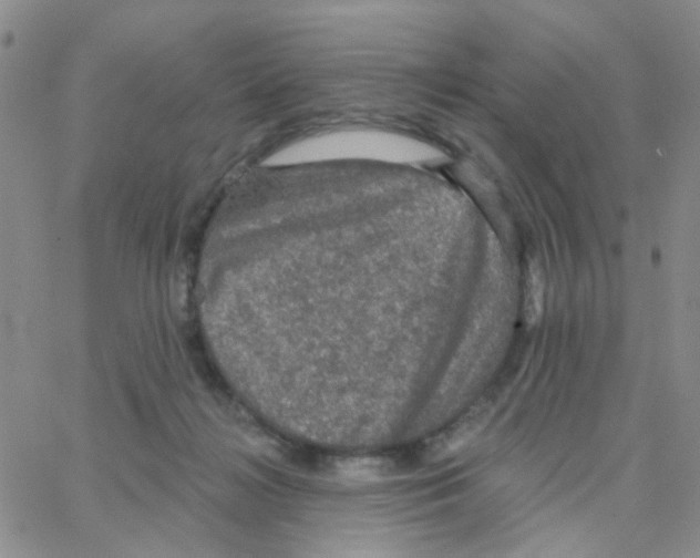 X0000064740268200603131326