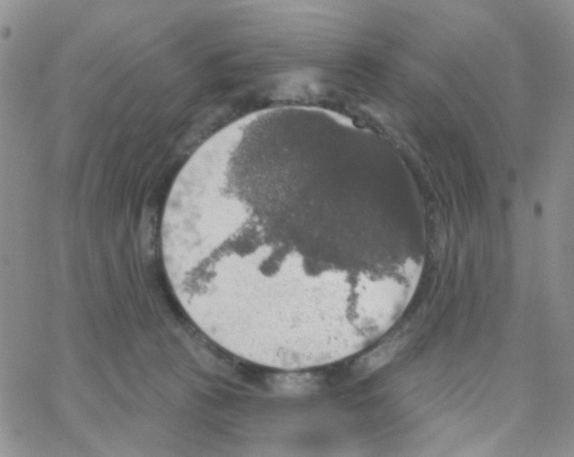 X0000064740273200603131326