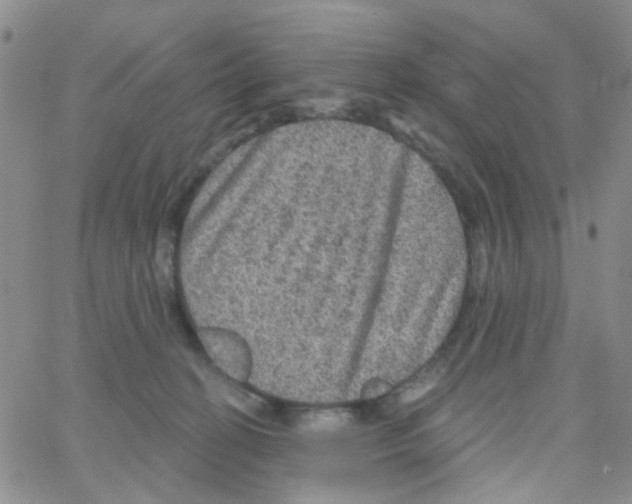 X0000064740274200603131326