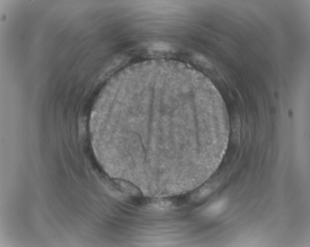 X0000064740278200603131326