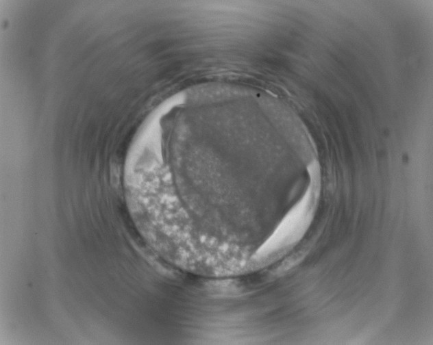 X0000064740281200603131326