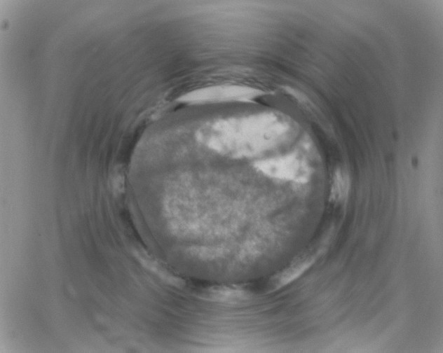 X0000064740284200603131326