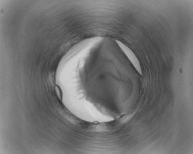 X0000064740286200603131326