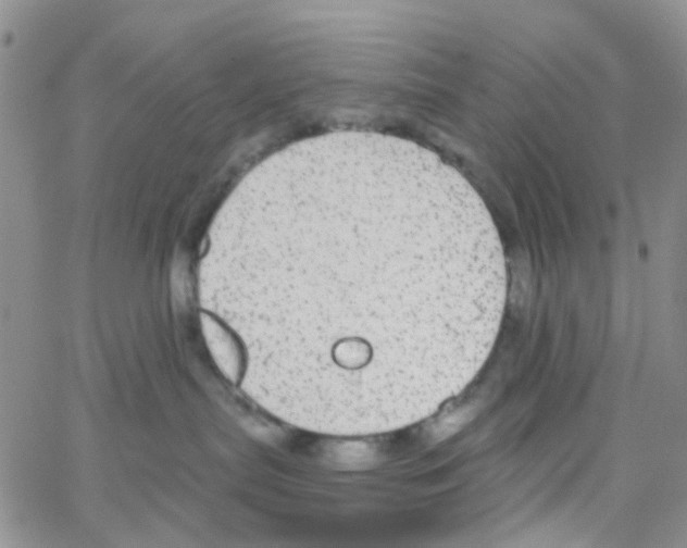 X0000064740287200603131326