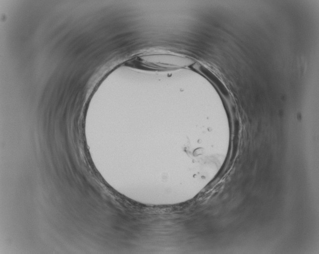 X0000064740289200603131325