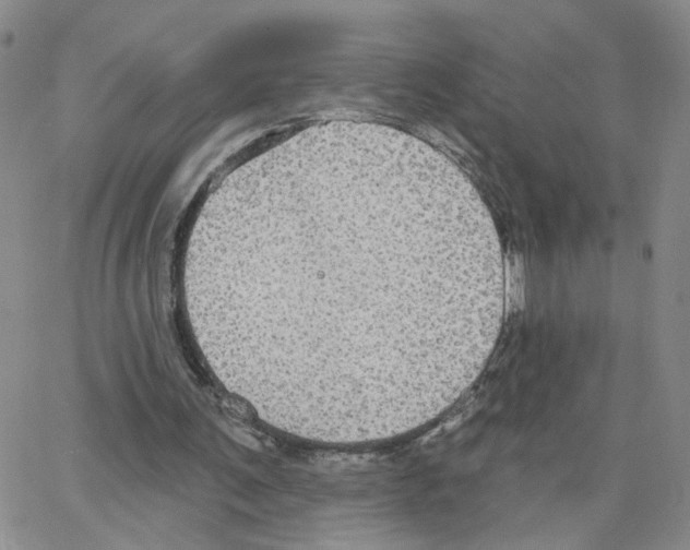 X0000064740291200603131325