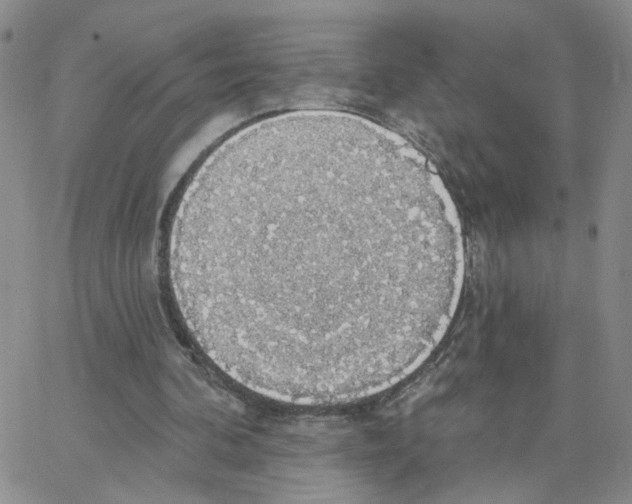 X0000064740292200603131325