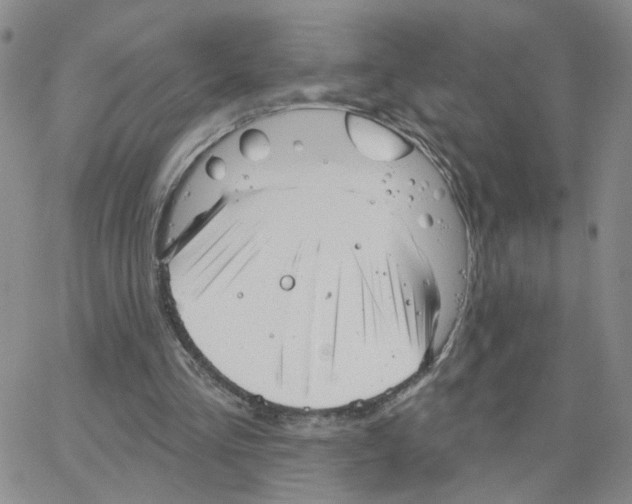 X0000064740293200603131325