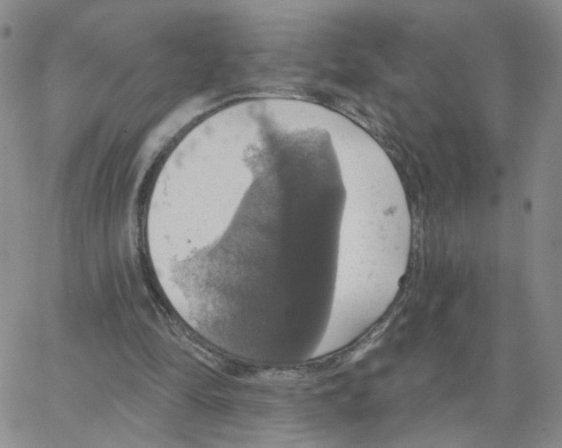 X0000064740294200603131325