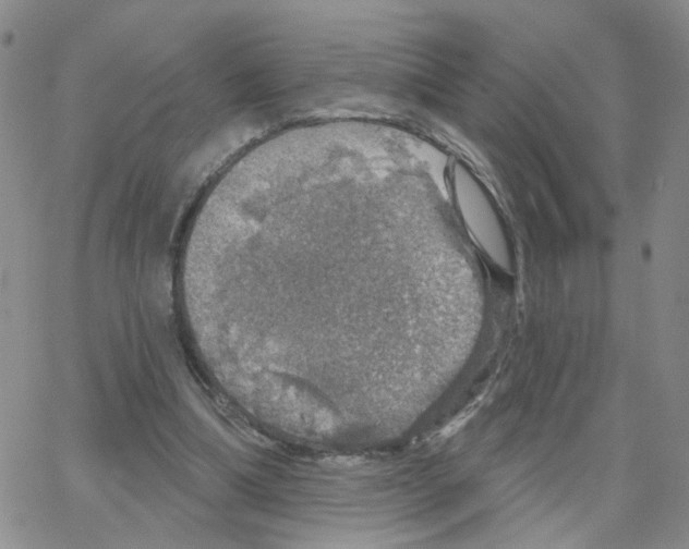 X0000064740298200603131325