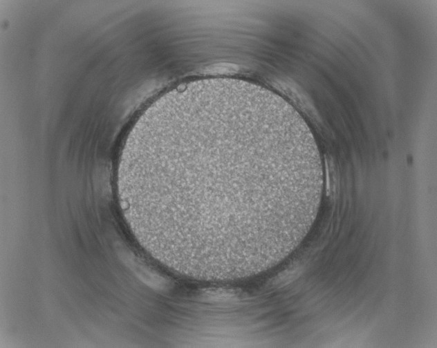 X0000064740300200603131325