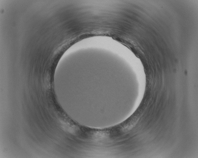 X0000064740303200603131325