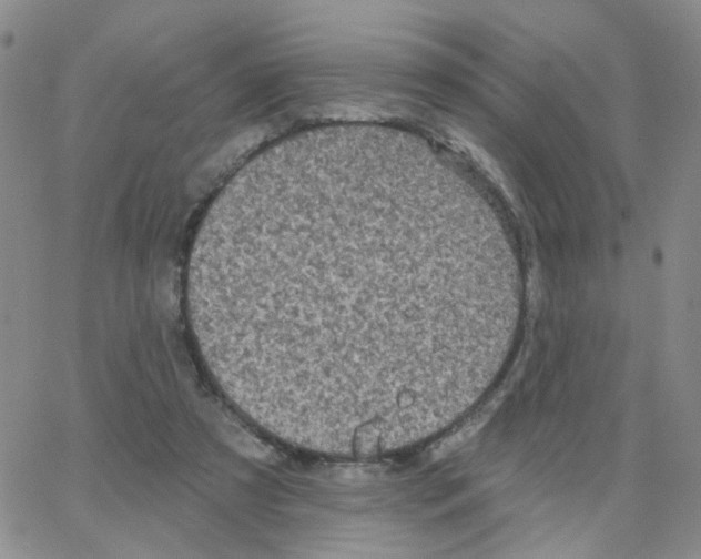 X0000064740305200603131325