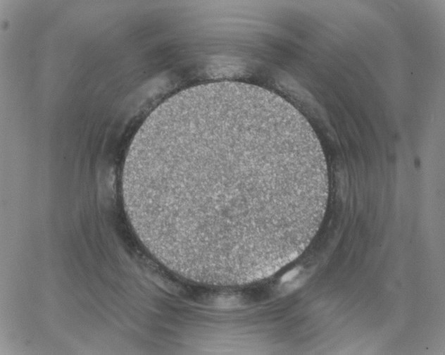 X0000064740308200603131325