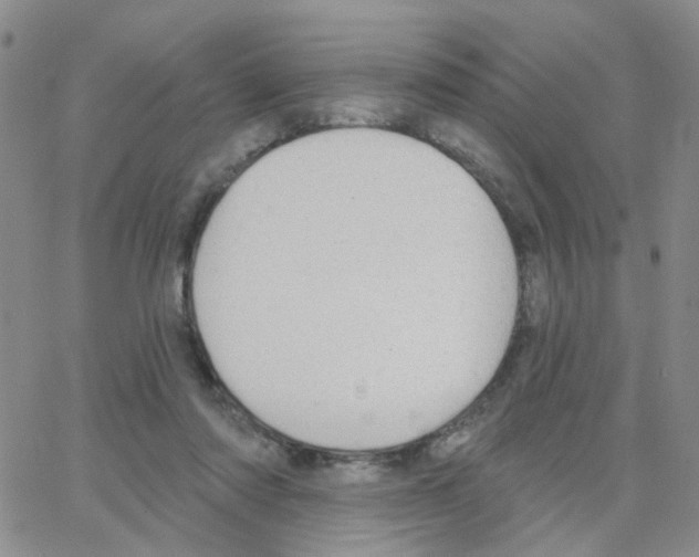 X0000064740310200603131325