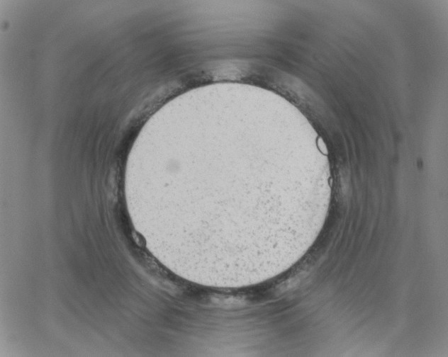 X0000064740311200603131325