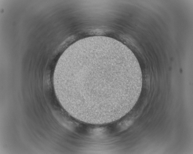 X0000064740312200603131325