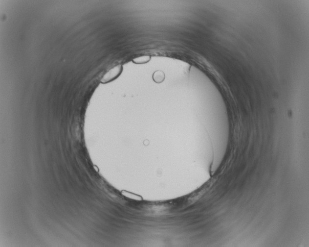 X0000064740313200603131325