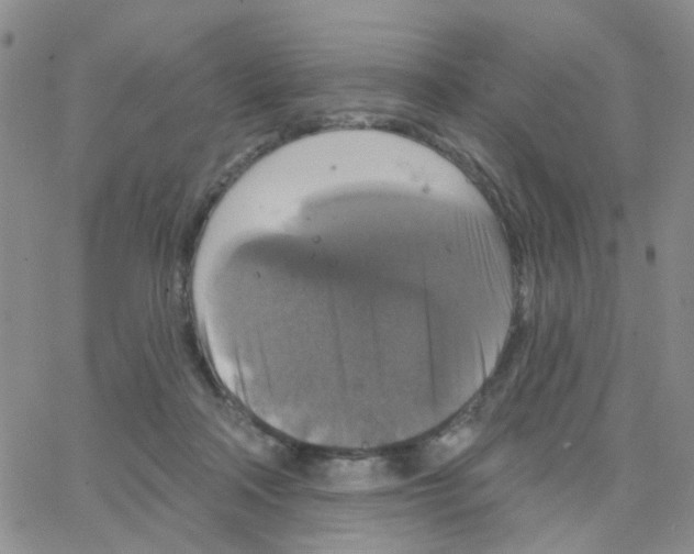 X0000064740314200603131325