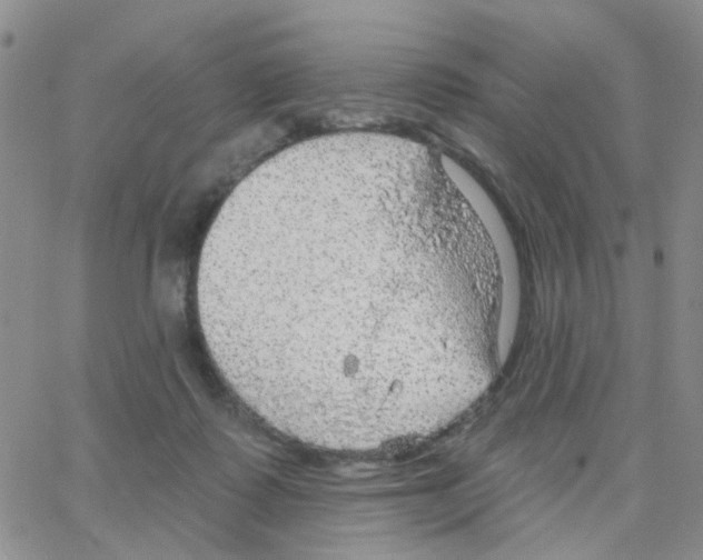 X0000064740315200603131325