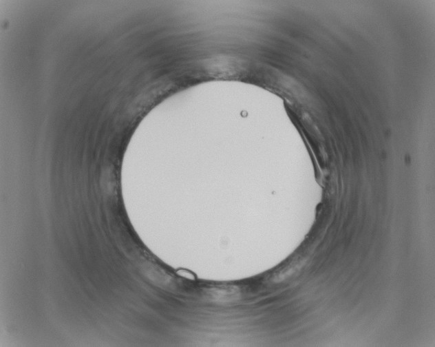 X0000064740317200603131325