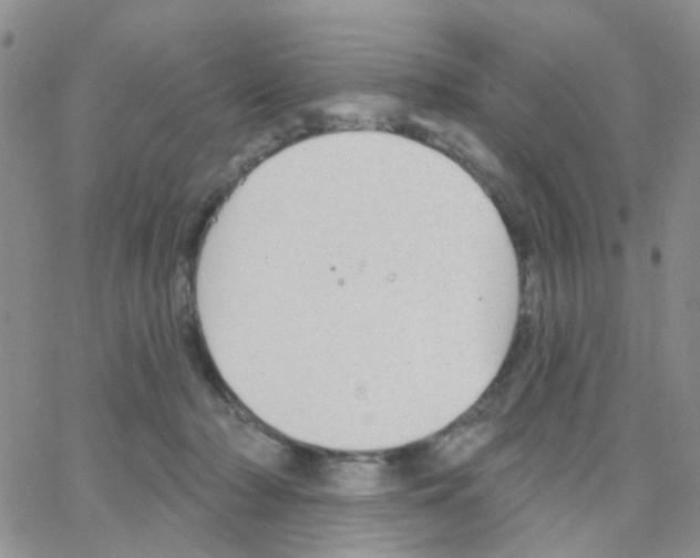 X0000064740318200603131325