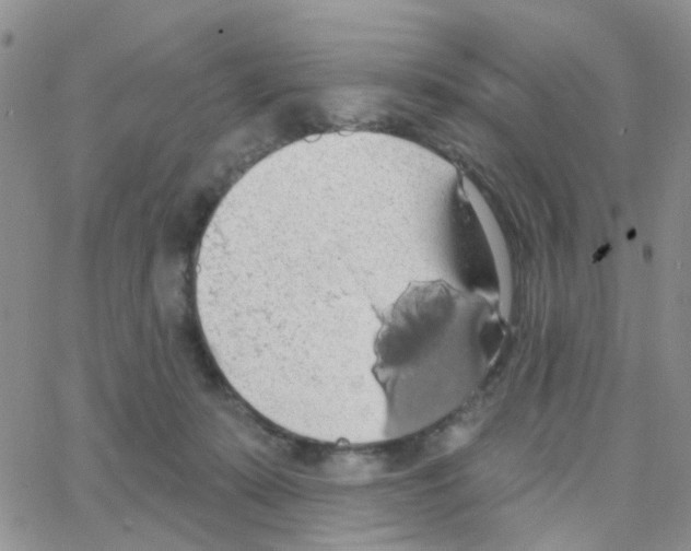 X0000064740319200603131325