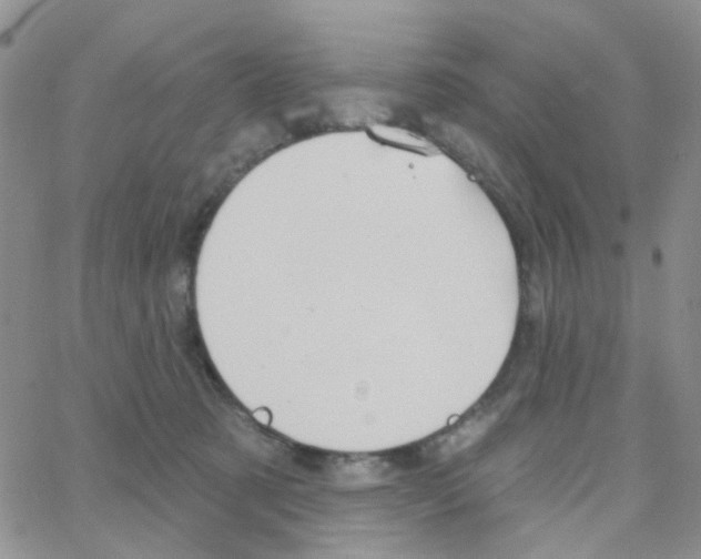 X0000064740321200603131325