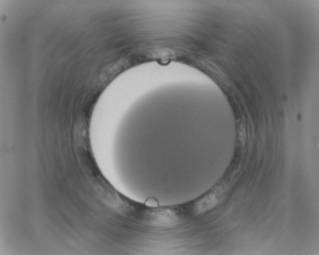 X0000064740322200603131325