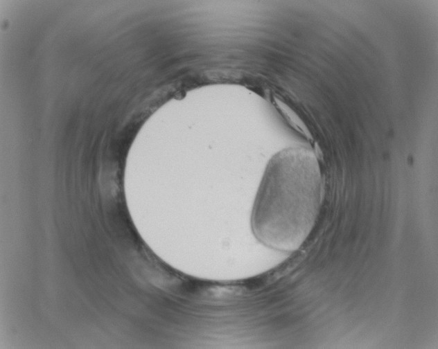 X0000064740323200603131325