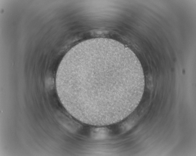 X0000064740324200603131325