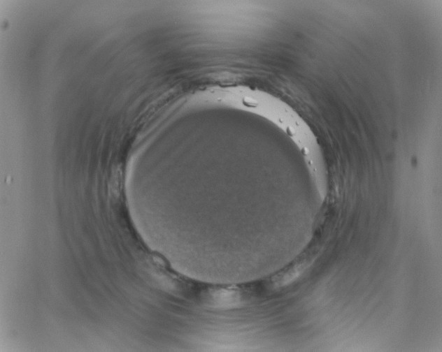 X0000064740325200603131325