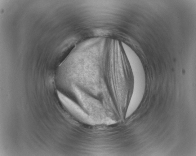 X0000064740329200603131325