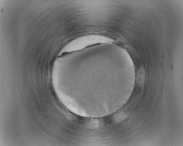 X0000064740330200603131325