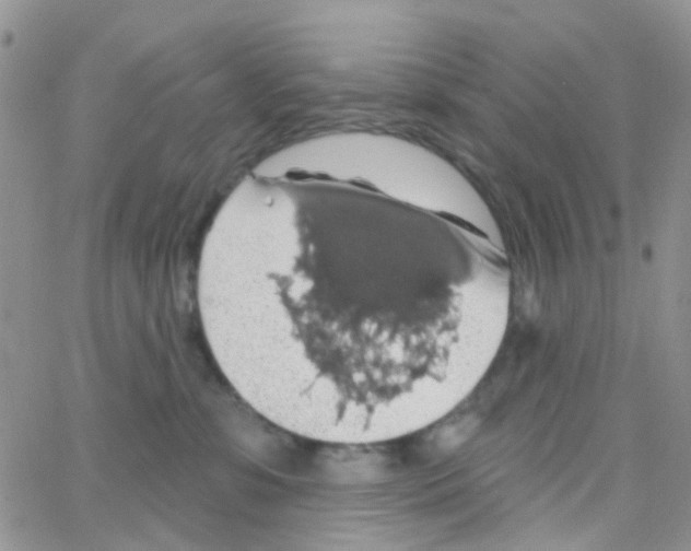 X0000064740331200603131325