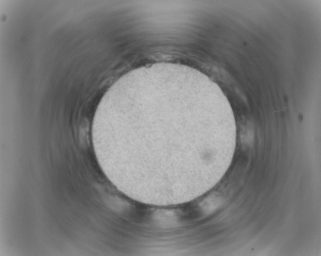 X0000064740332200603131325