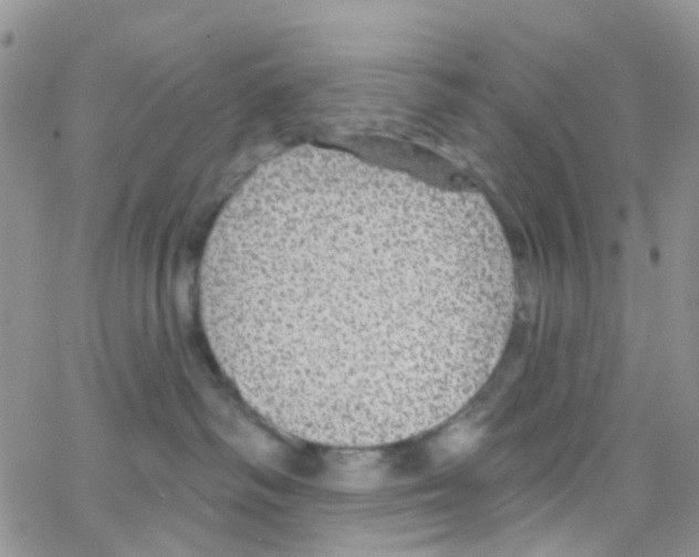 X0000064740334200603131325