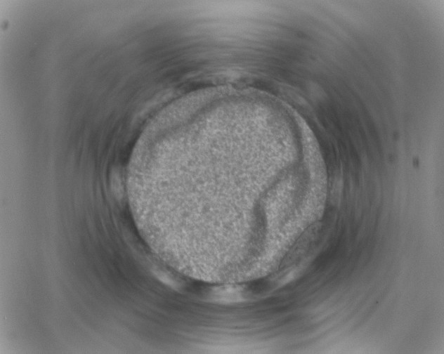 X0000064740335200603131325