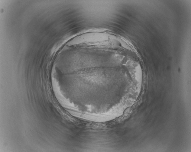 X0000064740337200603131324