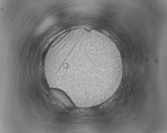 X0000064740338200603131324