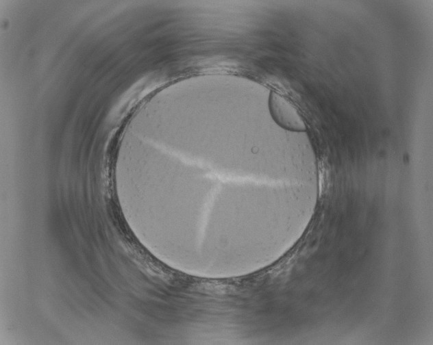 X0000064740339200603131324